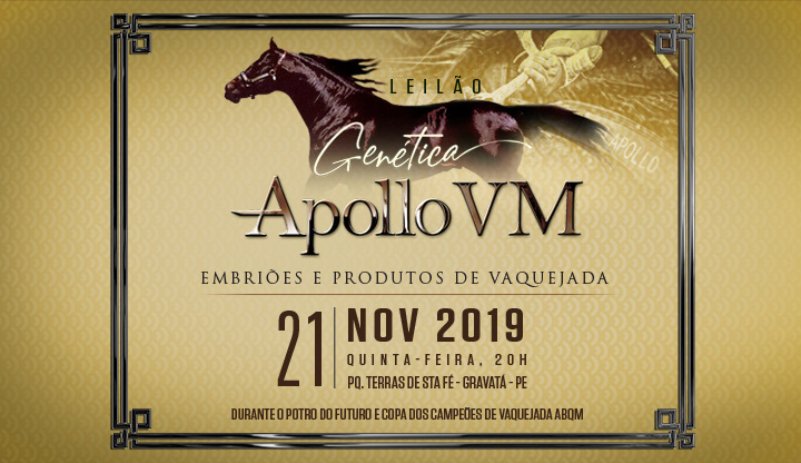 Leilão Genética Apollo VM 2019